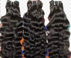 Burmese Curly