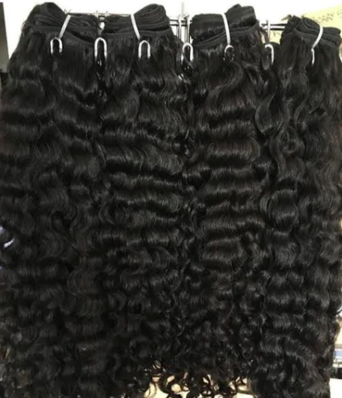Burmese Curly