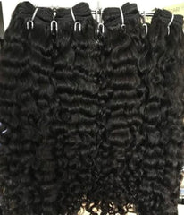 Burmese Curly